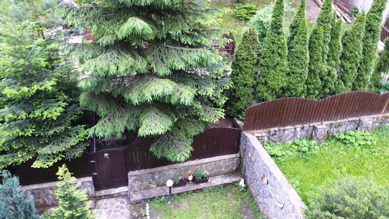 Green View Sinaia Exterior photo