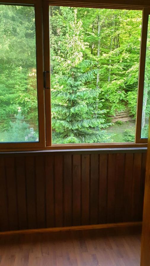 Green View Sinaia Exterior photo